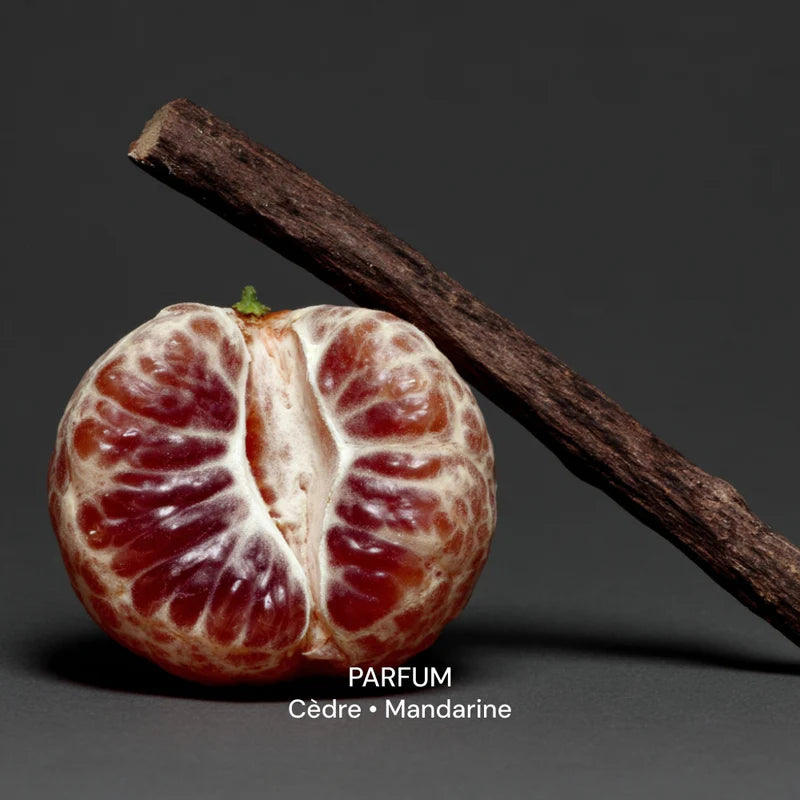 Crème Mains & Corps | Cèdre Mandarine