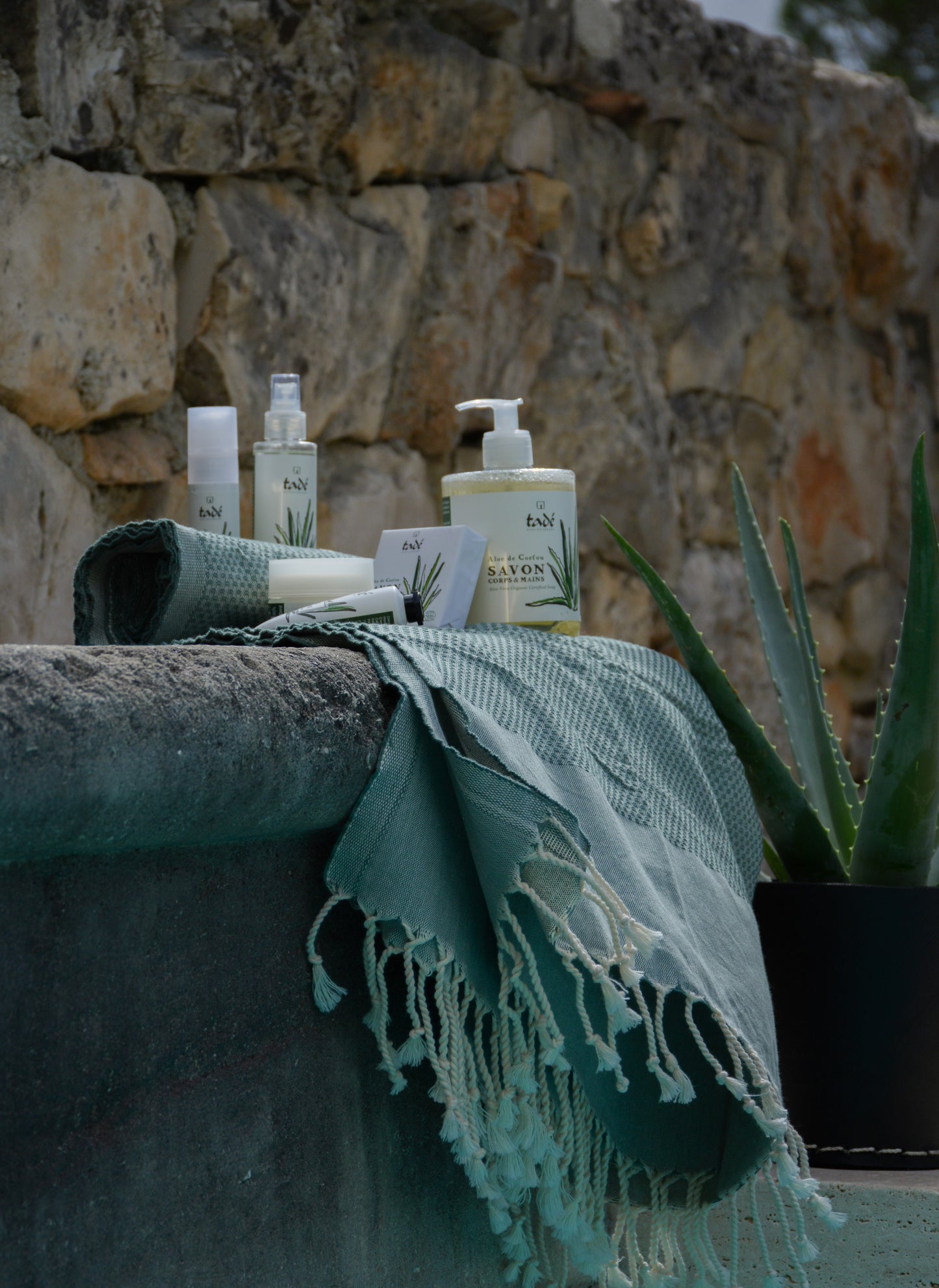 Crème visage régénérante Bio Aloé de Corfou