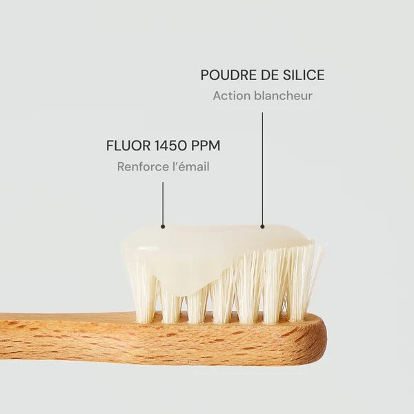 Dentifrice Blancheur