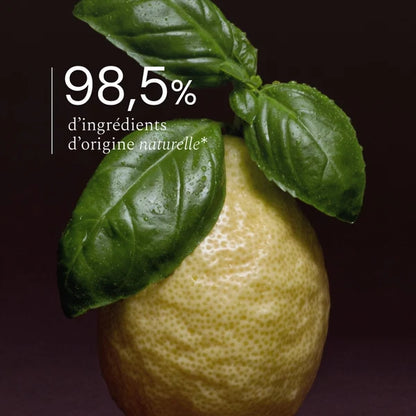 Liquide vaisselle | Basilic citron