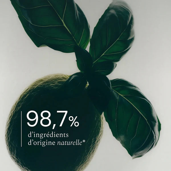 Multi-Surface | Basilic citron