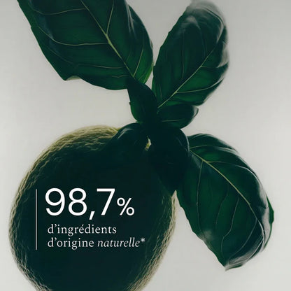 Multi-Surface | Basilic citron