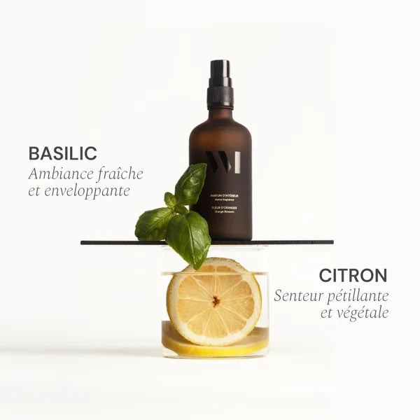 Parfum d'intérieur | Basilic Citron