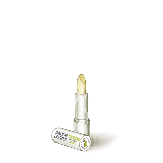 Baume à lèvres à l'huile d'olive