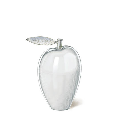 Soin "bonne mine"  à l'huile d'olive • rechargeable